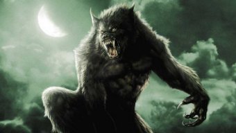 Wolfman22