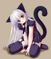 Sexy Kitty